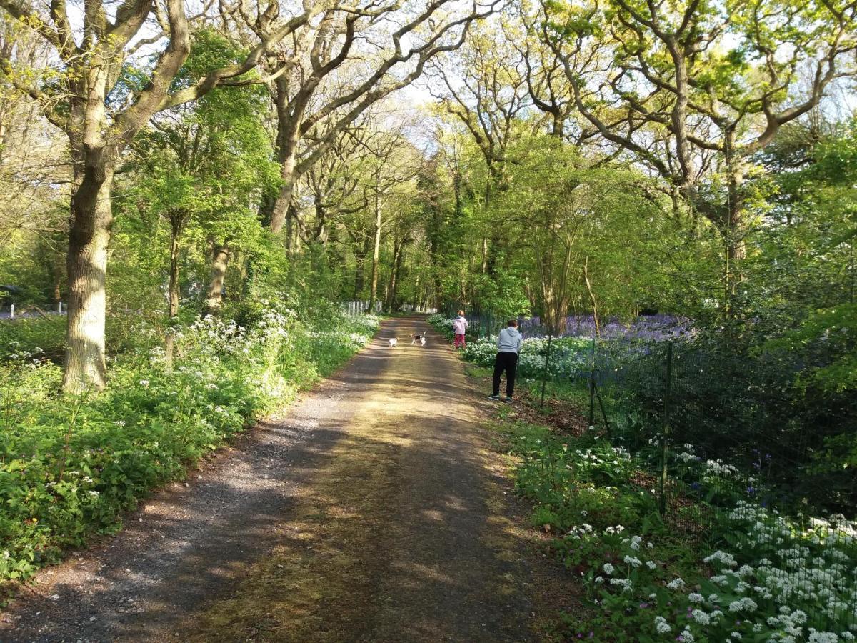 La Parenthese Bois De Cise Apartamento Ault Exterior foto